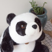 Panda Stuff Toy, Fluffy Look Up Pandabjørn i 4 størrelser