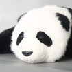 Realistisches Panda-Plüschtier, lebensechtes Panda-Stofftier, 3 Monate alt