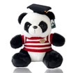 Ph. D. Panda knuffels, dokter panda teddybeer, schattig panda speelgoed met dokter hoed en gestreepte trui