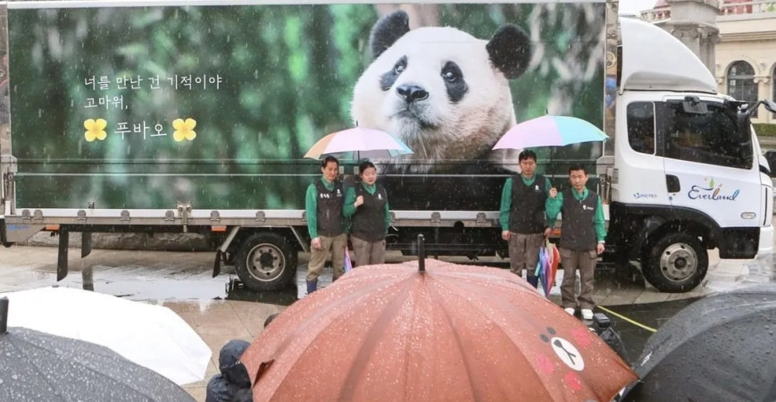 Farewell is not goodbye, but a new beginning: The journey home of the giant panda "Fubao"