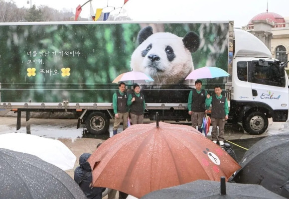Farewell is not goodbye, but a new beginning: The journey home of the giant panda "Fubao"